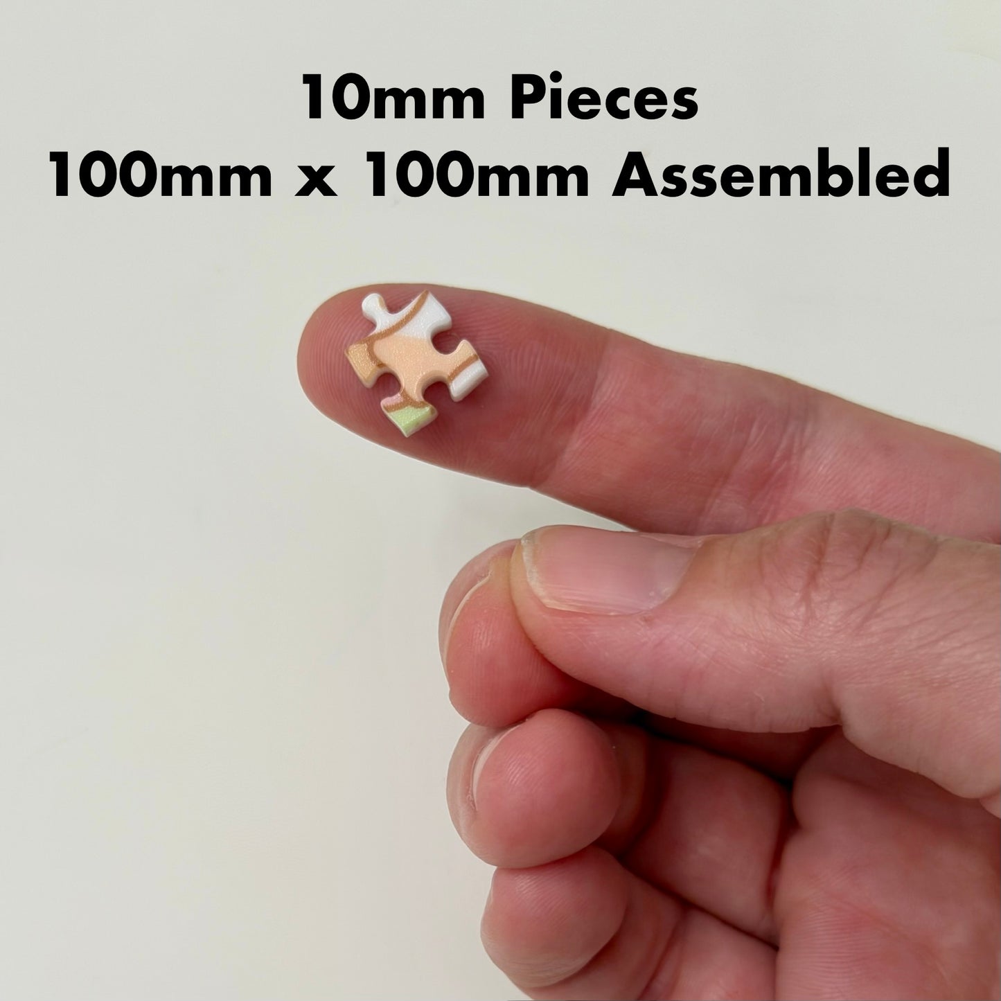 Coffeehouse Mochi Monster Tiny Fidget Puzzle